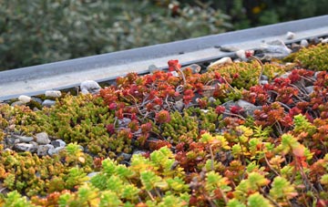 the cost of Portstewart green roof installation