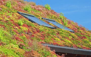 Portstewart living roof systems